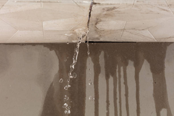 Professional Water Extraction technician working in Lonedell, MO